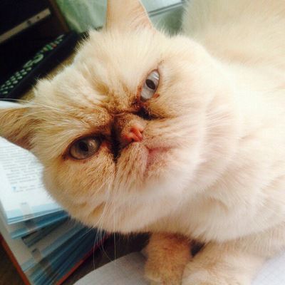 Андрей Бартыло