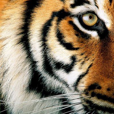 Екатерина Филиенко