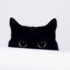 Андрей Гоман