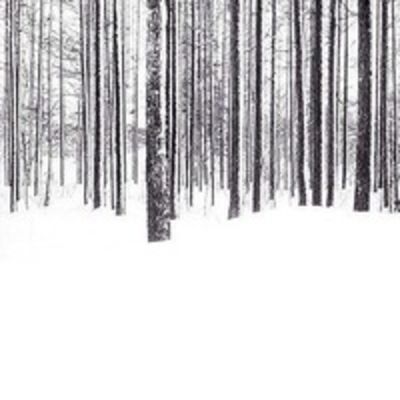 Иванов Куркин