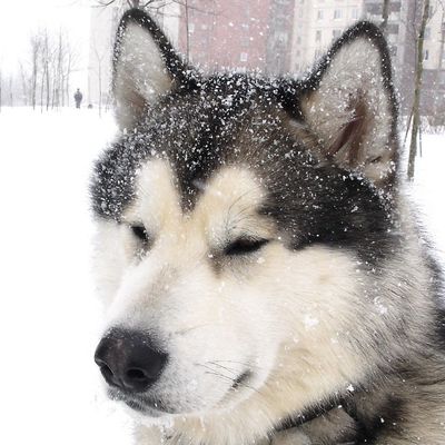 Мария Гурьева