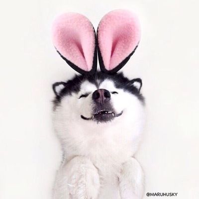 Кристина Калашникова