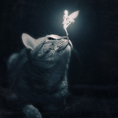 Мария Зенина