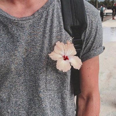 Аня Миронова