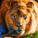 Василий Ильяшев