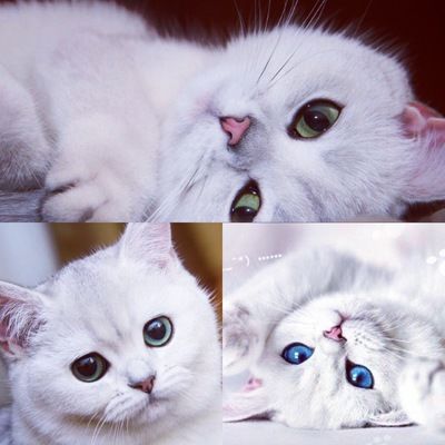 Мария Казакова