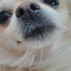 Юля Голубева