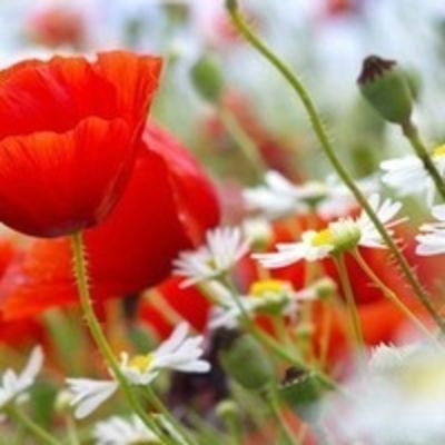 Ггггггггггггг Щщщщщщщ