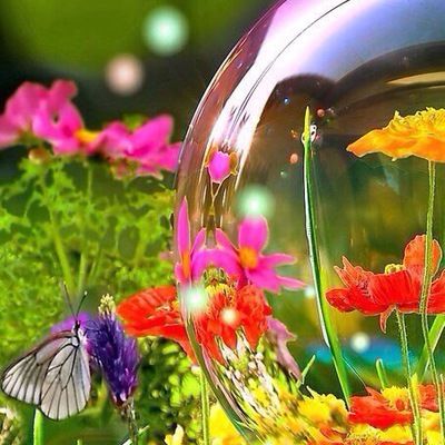 Полина Баковкина-Прядко