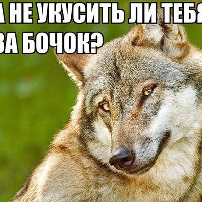 Татьяна Щербакова