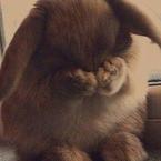 Анастасия Блинова