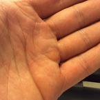 Михаил Волков