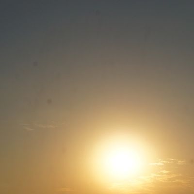 Елена Миронова