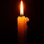 Елена Погорелова