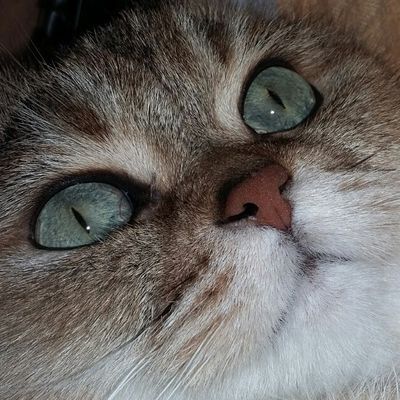 Наталья Фишер