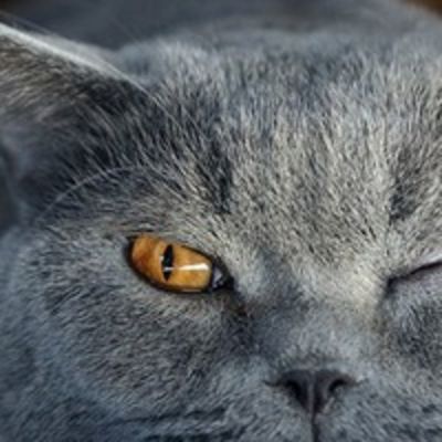 Елена Белянкова(Сидорова)