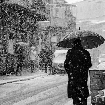 Илья Александров