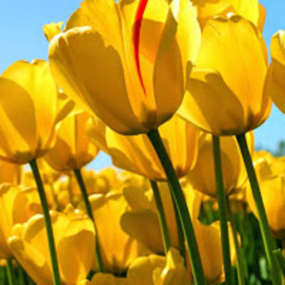 Неля Нигаматзянова