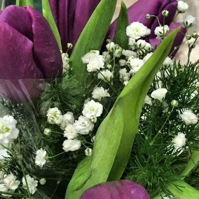 Анар Насырова