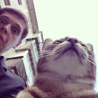 Александр Кривошапов