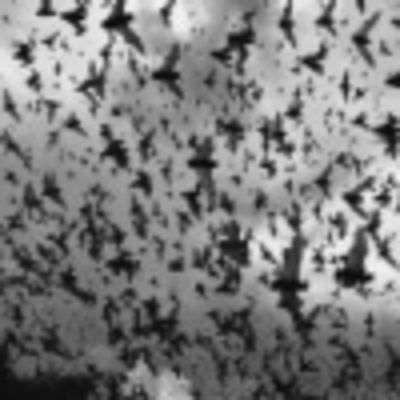 Анастасия Сергеевна