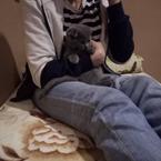 Месед Вишневская