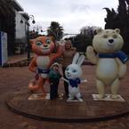 Виктория Рознатовская