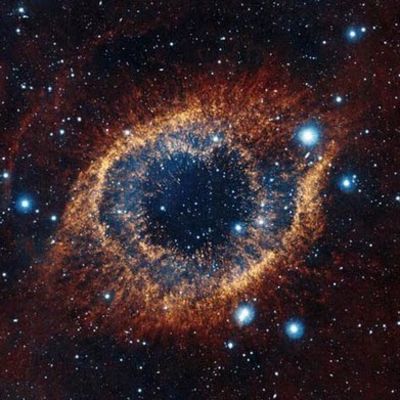 Светлана Ульянченко