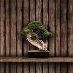 Иван Сидорук