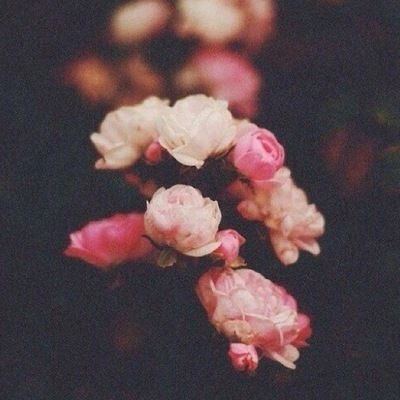 Асем Алибекова