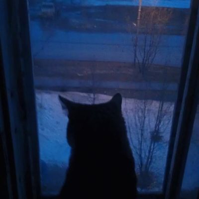 Николай Казак