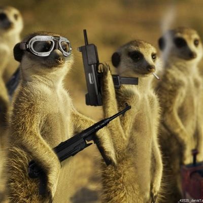 Даша Филенко