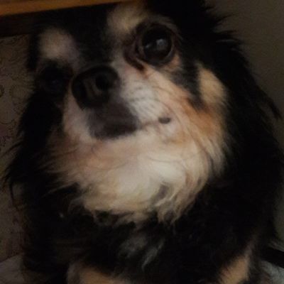 Марина Цудная