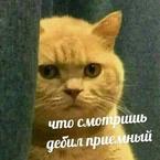 Саша Бродская