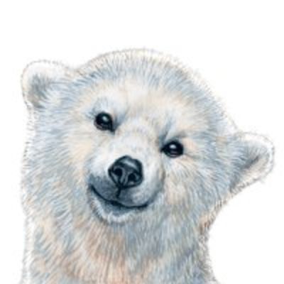 Анжелика Романенко