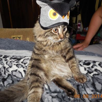 Екатерина Разинова-Лапина