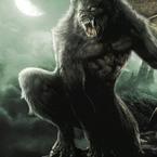 Шамиль Иманалиев