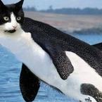 Гульназ Сахапова