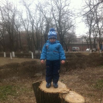 Артём Домбровский