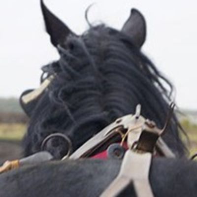 Анна Разумова