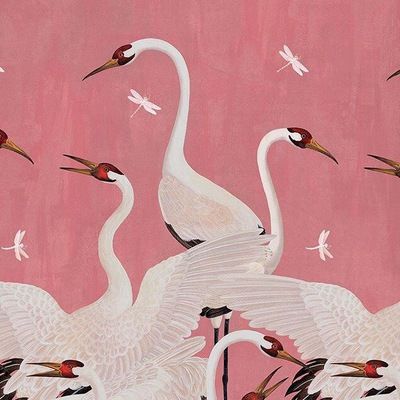 Elena Krasheninnikova