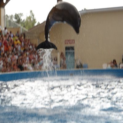 Ольга Сероева