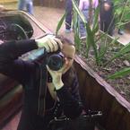 Вера Иванова