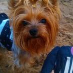 Ольга Окунева