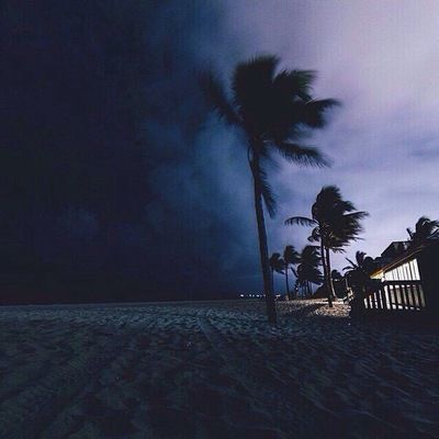 Курбан Нурмагомедов