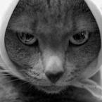 Ольга Гаврикова