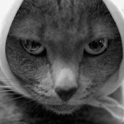 Ольга Гаврикова