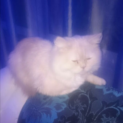 Татьяна Нургалиева