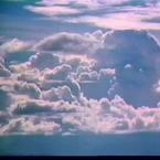 Алина Каширина