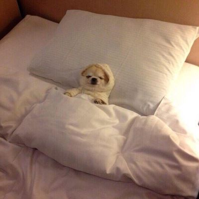 Алия Алибекова